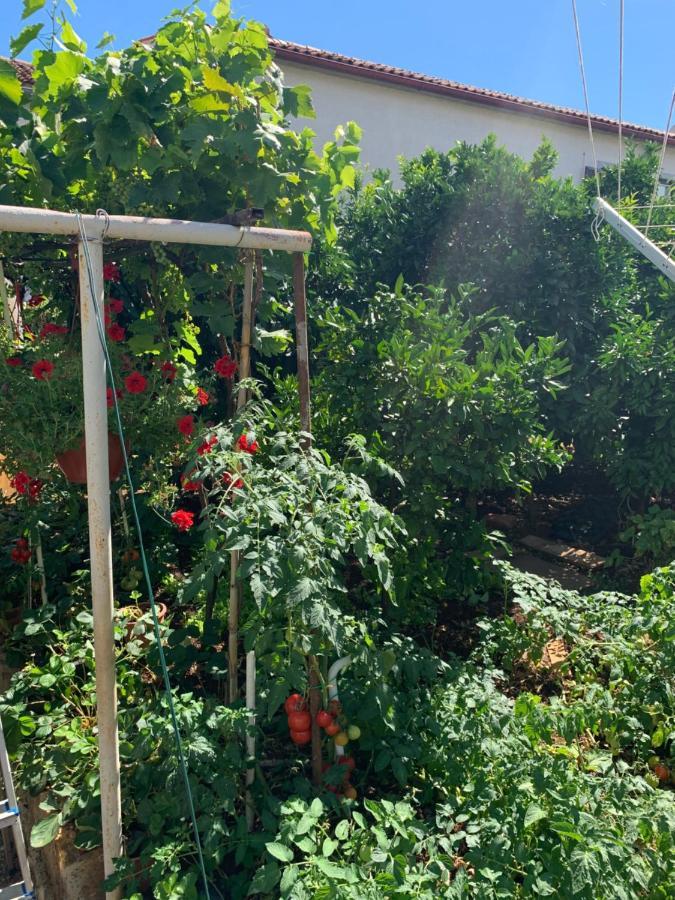 Taverna Coctel بوريتش المظهر الخارجي الصورة