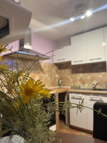 Taverna Coctel بوريتش المظهر الخارجي الصورة